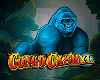 Congo Cash XL Congo Cash XL