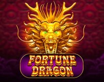 Fortune Dragon PP Fortune Dragon PP