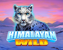 Himalayan Wild Himalayan Wild