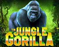 Jungle Gorilla Jungle Gorilla