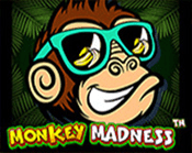 Monkey Madness Monkey Madness