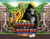 Snakes and Ladders Megadice Snakes and Ladders Megadice