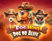 The Dog House - Dog Or Alive The Dog House - Dog Or Alive