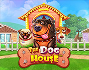 The Dog House The Dog House