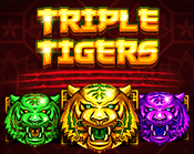 Triple Tigers Triple Tigers
