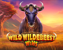 Wild Wildebeest Wins Wild Wildebeest Wins