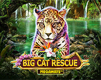 Big Cat Rescue Megaways Big Cat Rescue Megaways