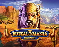 Buffalo Mania Megaways Buffalo Mania Megaways