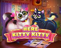 Here Kitty Kitty Here Kitty Kitty