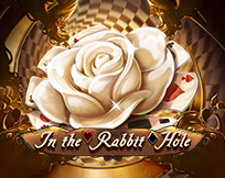 In The Rabbit Hole In The Rabbit Hole