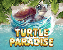 Turtle Paradise Turtle Paradise