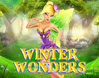 Winter Wonders Winter Wonders