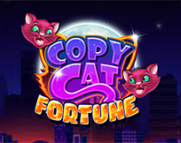 Copy Cat Fortune Copy Cat Fortune
