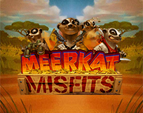 Meerkat Misfits Meerkat Misfits