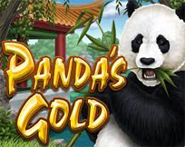 Panda`s Gold Panda`s Gold