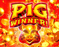 Pig Winner Pig Winner