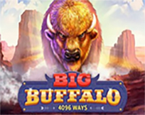 Big Buffalo Big Buffalo