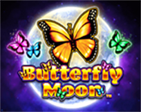 Butterfly Moon Butterfly Moon