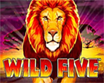 Wild Five Wild Five