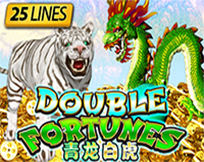 Double Fortunes Double Fortunes