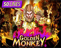 Golden Monkey Golden Monkey