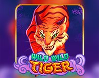 Wild Wild Tiger Wild Wild Tiger